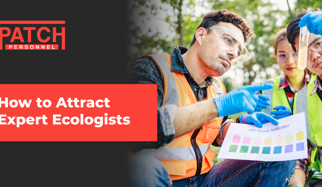 How to Attract Expert Ecologists